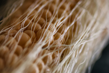 Similar image 12697323