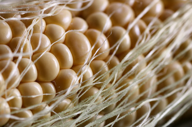 Similar image 12697381