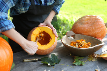 Similar image 12981035