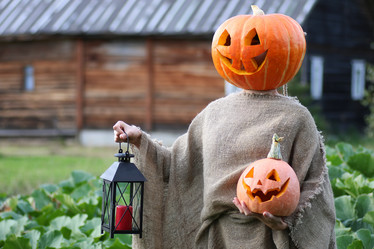 Similar image 12997616