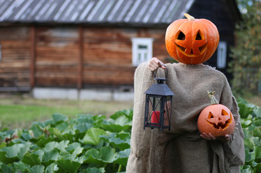 Similar image 12997661