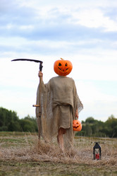 Similar image 12997718