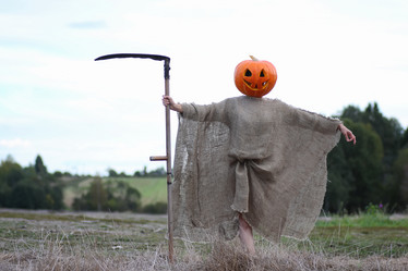 Similar image 12999272