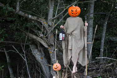 Similar image 12999567