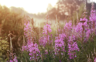 Similar image 12697418