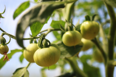 Similar image 12981115