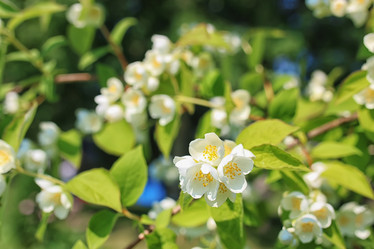 Similar image 12981177