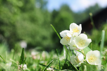 Similar image 12981178