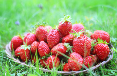 Similar image 12999551