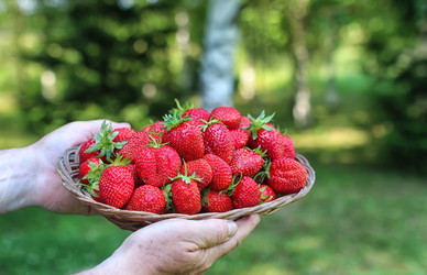 Similar image 12999602