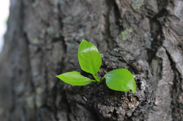 Similar image 12696819