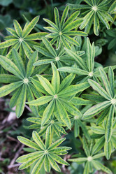 Similar image 12697288