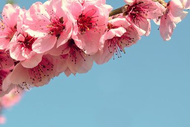 Similar image 12978352