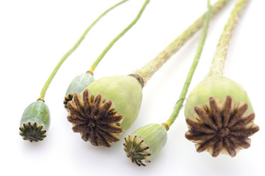 Similar image 12978363