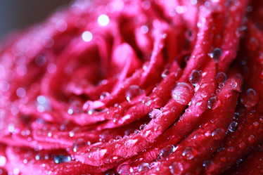 Similar image 12697732