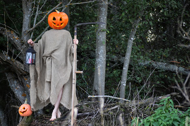 Similar image 12981098