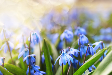 Similar image 12997700