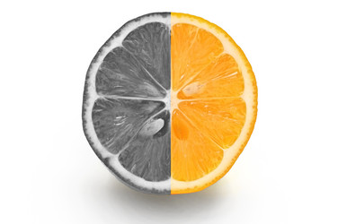 Similar image 12996522