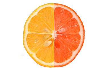 Similar image 12996523