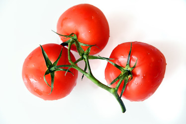 Similar image 12996526