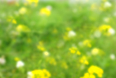 Similar image 12996503