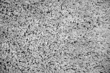 Similar image 12996505