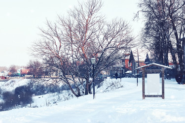 Similar image 12696739