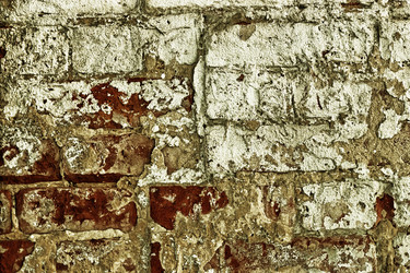 Similar image 12696840