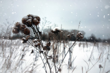 Similar image 12981038