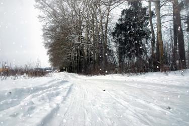 Similar image 12981218