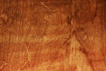 Similar image 12697136