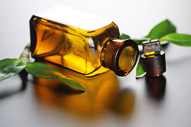 Similar image 12696599