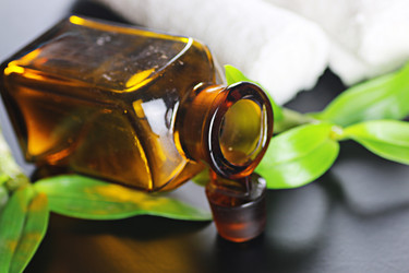 Similar image 12696637