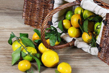 Similar image 12696919