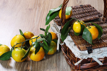 Similar image 12696941