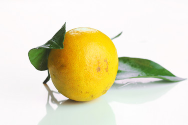 Similar image 12696958