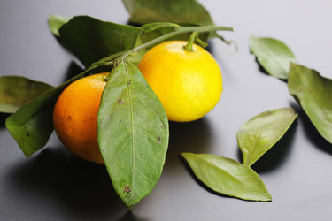 Similar image 12697118