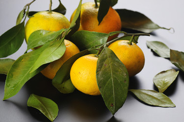 Similar image 12697253