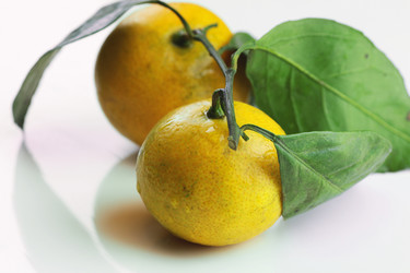 Similar image 12697271