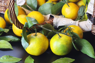 Similar image 12697403