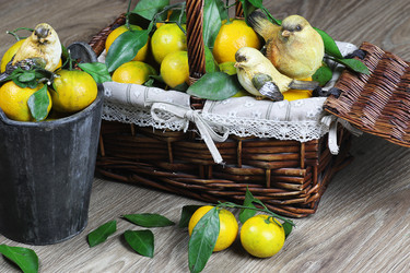 Similar image 12980808