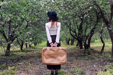 Similar image 12981141