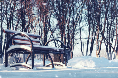 Similar image 12999576