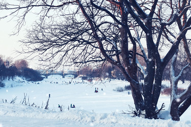 Similar image 13000035