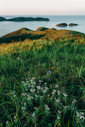 Similar image 12981405