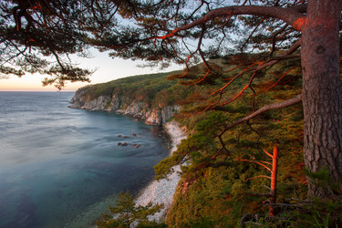 Similar image 12981427