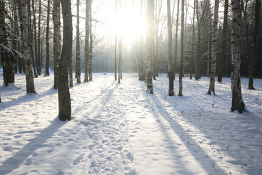 Similar image 12697140