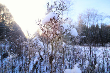 Similar image 12697405