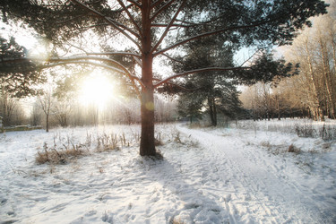 Similar image 12696803