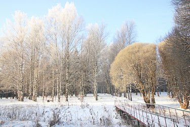 Similar image 12696846